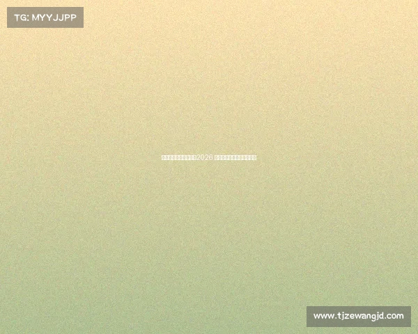 美国队的远大愿景超越2026 聚焦更长远的全球足球目标